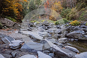 Colorful leaves on trees in autumn forest, Coaticook, Canada photo