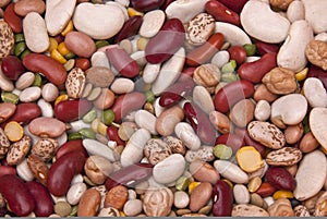 Colorful Legume (bean) Background