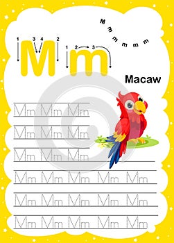 Colorful letter m Uppercase and Lowercase alphabet A-Z, Tracing and writing daily printable A4 practice worksheet with cute