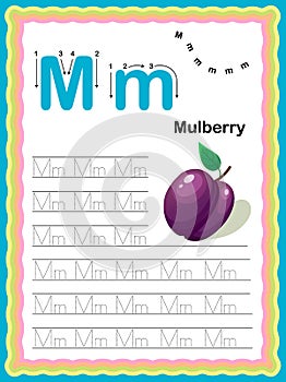 Colorful letter M Uppercase and Lowercase Tracing alphabets start with Vegetables and fruits daily writing practice worksheet,