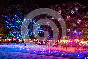 Colorful light decorations for christmas at garden