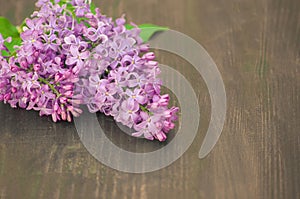 Colorful lilac flowers on wooden background