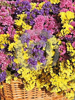 Colorful Limonium flowers photo