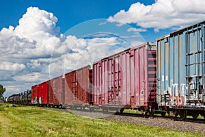 A Colorful Line of Railway Boxcars in Summer