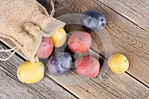 Colorful little potatoes spilling from burlap bag on rustic wood