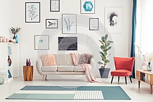 Colorful living room interior