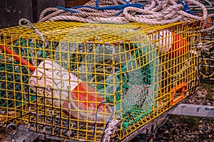 Colorful lobster cage