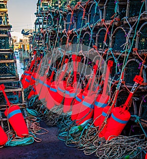 Colorful lobster fishing buoys and traps