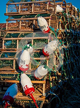 Colorful lobster fishing buoys and traps