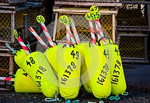 Colorful lobster fishing buoys and traps