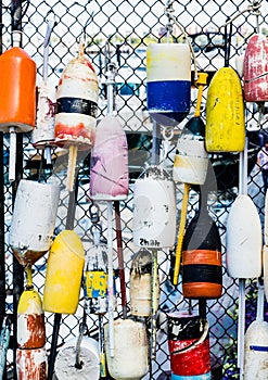 Colorful Lobster Floats on Fence