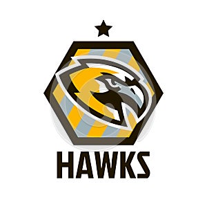 Colorful logo, sticker, emblem of a hawk. Flying bird, hunter, predator, dangerous animal, shield, lettering. Mascot