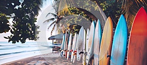 Colorful long surfboards staying in row on the sandy tropical island beach sea cost litted with sunset light during golden hour.