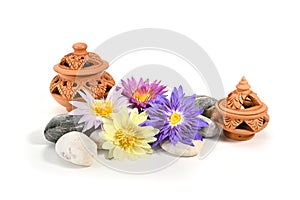 Colorful lotus flowers, rocks, and beautiful pottery