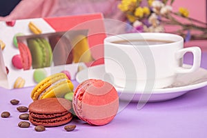 Colorful macarons and cup of coffee, coffee beans over on violet background