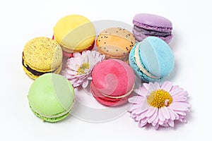 Colorful macaroons on the white background