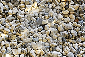 Colorful Many Pebbles stone Big and small for texture background.