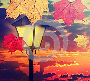 Colorful maple leaves fall against vintage street lamp lighting and magic sunset sky. Autumn season