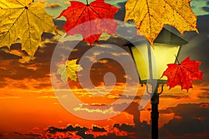 Colorful maple leaves fall against vintage street lamp lighting and magic sunset sky. Gold Autumn