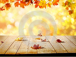 Colorful maple leaves on wooden table.Falling leaves natural background .Autumn season concep