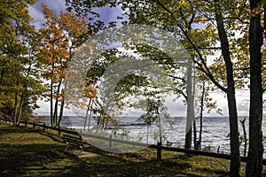 Maple trees along Lake Superior shore line in Michigan Upper Peninsula. photo