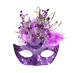 Colorful Mardi Gras mask isolated on white