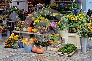 Colorful Market in Regensburg, Germany