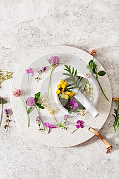 colorful medical flowers and herbs in mortar