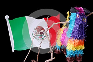Colorful Mexican Pinata with Flag