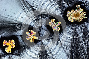 Colorful micro crystals in polarized light. Photo through a microscope