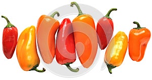 Colorful Mini Peppers