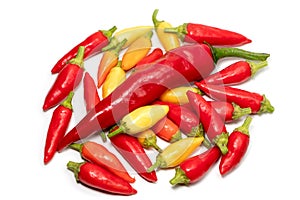 A colorful mix of the freshest and hottest chili peppers