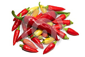 A colorful mix of the freshest and hottest chili peppers