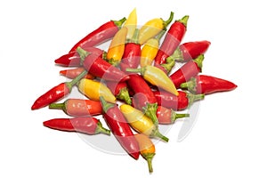 A colorful mix of the freshest and hottest chili peppers