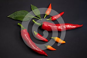 A colorful mix of the freshest and hottest chili peppers