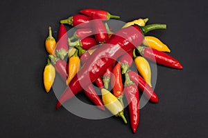 A colorful mix of the freshest and hottest chili peppers