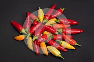 A colorful mix of the freshest and hottest chili peppers