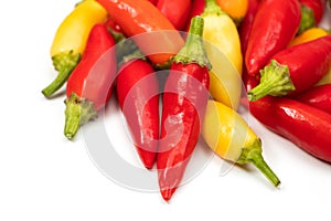 A colorful mix of the freshest and hottest chili peppers