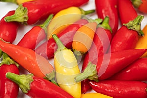 A colorful mix of the freshest and hottest chili peppers