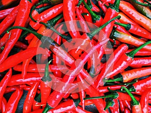 colorful mix of the freshest and hottest red chili peppers.