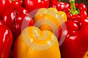 colorful mix of the freshest red and yellow paprika, bell pepper