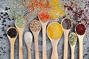 Colorful mix of herb and spice varieties: curry, coriander, turmeric, cumin, paprika, pepper, mustard, salt, thyme, cardamon, oreg