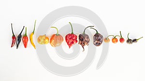 A colorful mix of the hottest chili peppers