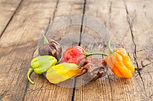 A colorful mix of the hottest chili peppers