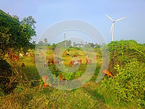 Colorful modern rustic idyll pastoral in India Wind farm