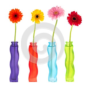 Colorful modern vases with flowers