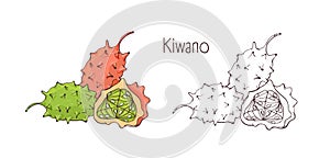 Colorful and monochrome contour drawings of whole and cut ripe kiwano isolated on white background. Bundle of delicious