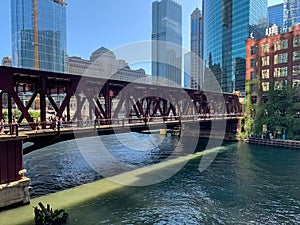 Colorful morning in Chicago Loop where summer light displays patterns from cityscape on Chicago River and bridge structure