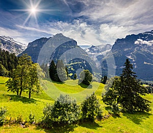 Colorful morning view of Grindelwald village valley from cablewa