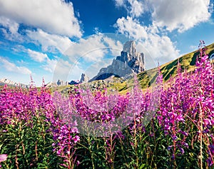 Colorful morning view of peak Ra Gusela, Averau - Nuvolau group from Passo di Giau. Bright summer sunrise in Dolomiti Alps,